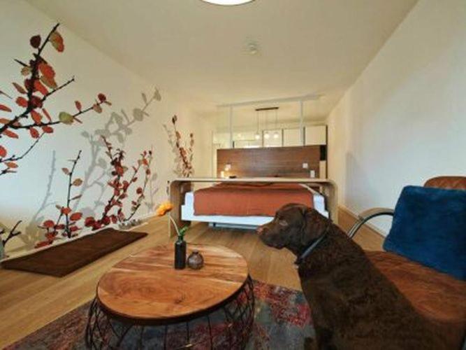 Artroom Boarding Apartment Bissendorf Экстерьер фото